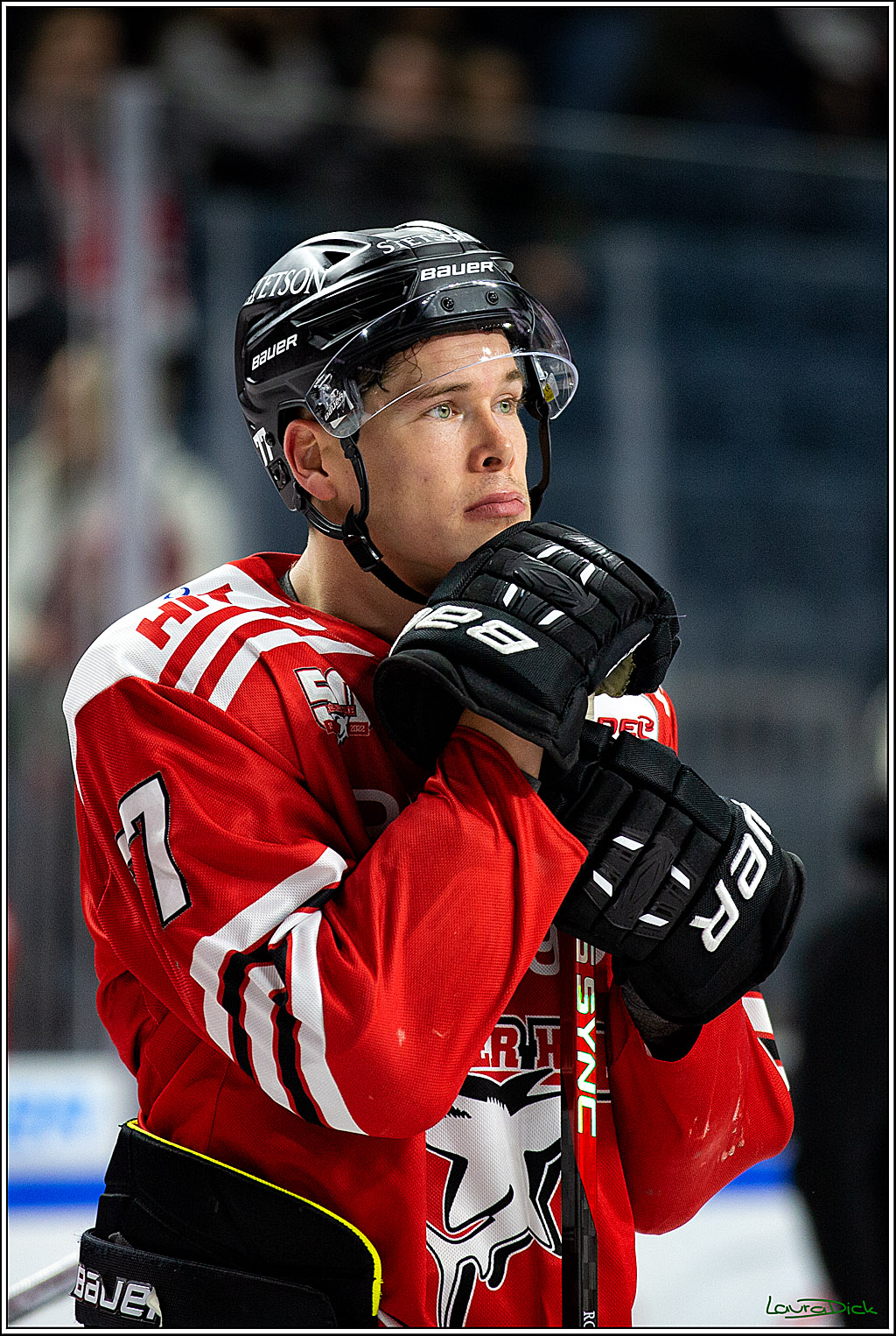 PENNY DEL; Koelner Haie- Schwenninger Wild Wings; Koeln, 06.12.2022